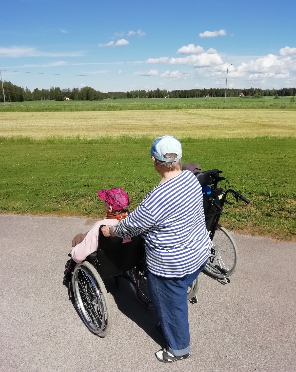 Kynkkärinkitoiminta jatkuu jälleen kesällä 2022